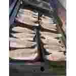 BBQ Fish - Afbeelding 2