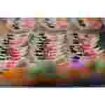 The Sushi Truck - Afbeelding 5